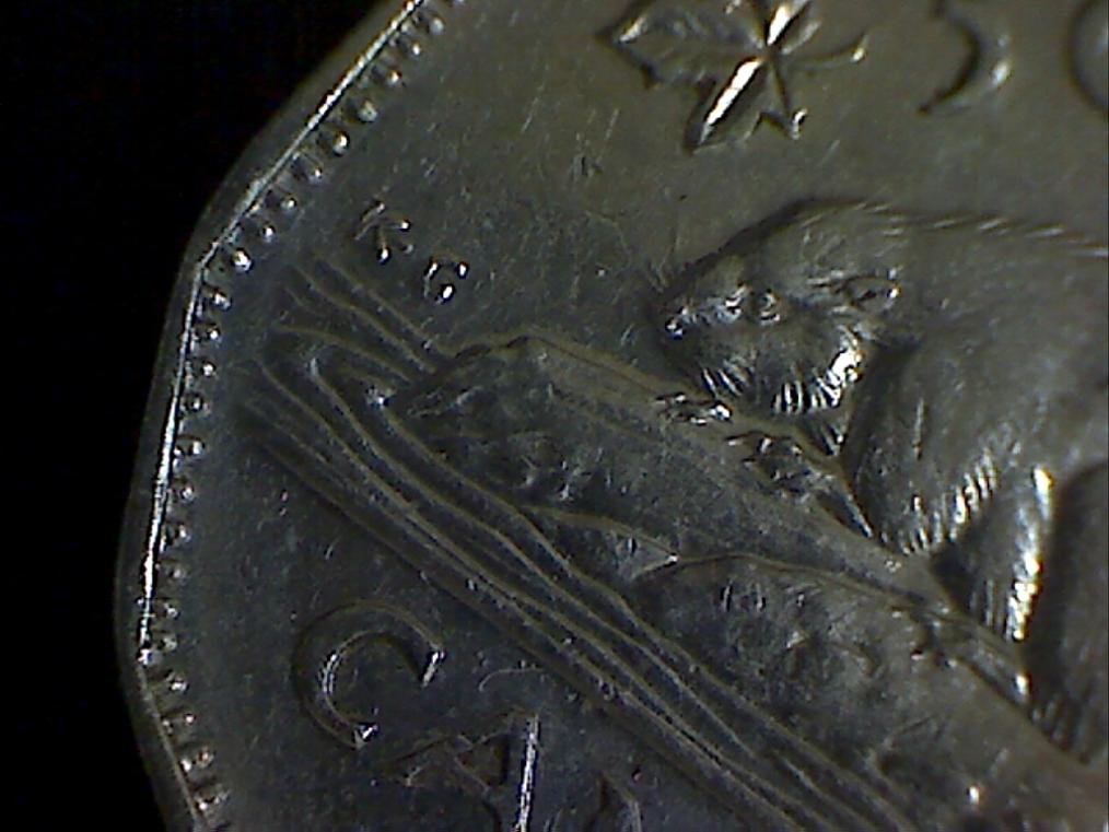 1950-Die-Clash-Nickels